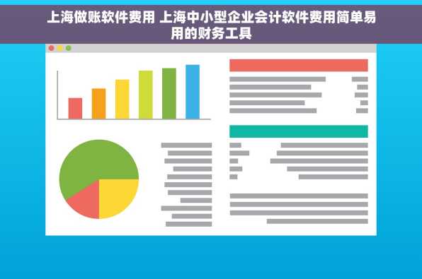上海做账软件费用 上海中小型企业会计软件费用简单易用的财务工具