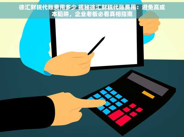 徐汇财税代账费用多少 揭秘徐汇财税代账费用：避免高成本陷阱，企业老板必看真相指南