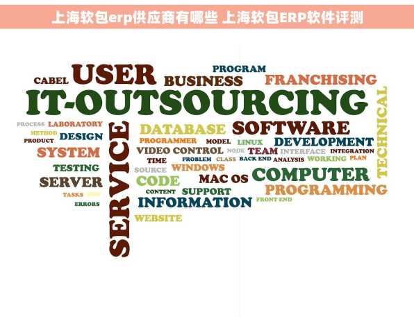 上海软包erp供应商有哪些 上海软包ERP软件评测