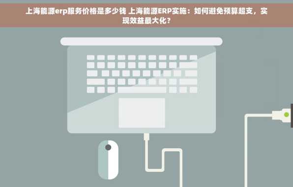 上海能源erp服务价格是多少钱 上海能源ERP实施：如何避免预算超支，实现效益最大化？