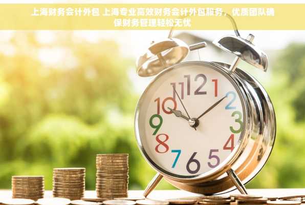 上海财务会计外包 上海专业高效财务会计外包服务，优质团队确保财务管理轻松无忧