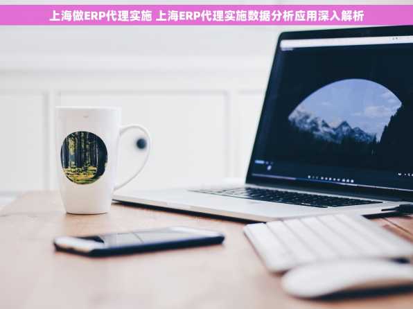 上海做ERP代理实施 上海ERP代理实施数据分析应用深入解析