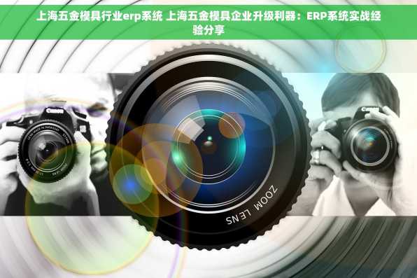 上海五金模具行业erp系统 上海五金模具企业升级利器：ERP系统实战经验分享