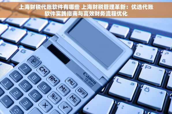 上海财税代账软件有哪些 上海财税管理革新：优选代账软件实践指南与高效财务流程优化