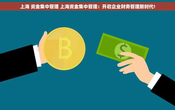 上海 资金集中管理 上海资金集中管理：开启企业财务管理新时代!