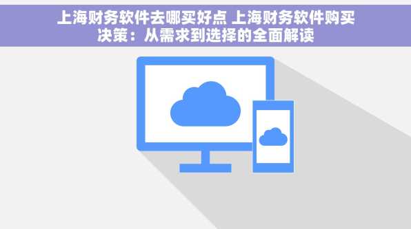 上海财务软件去哪买好点 上海财务软件购买决策：从需求到选择的全面解读