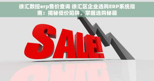 徐汇数控erp售价查询 徐汇区企业选购ERP系统指南：揭秘低价陷阱，掌握选购秘籍