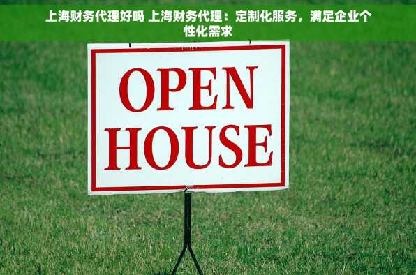 上海财务代理好吗 上海财务代理：定制化服务，满足企业个性化需求