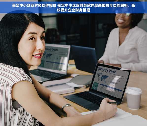 嘉定中小企业财务软件报价 嘉定中小企业财务软件最新报价与功能解析，高效提升企业财务管理