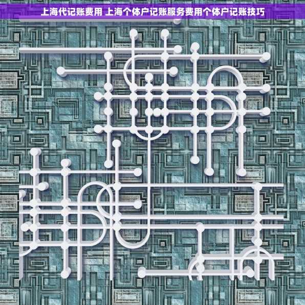 上海代记账费用 上海个体户记账服务费用个体户记账技巧
