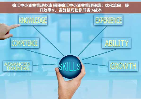 徐汇中小资金管理办法 揭秘徐汇中小资金管理秘籍：优化流向，提升效率%，实战技巧助你节省%成本