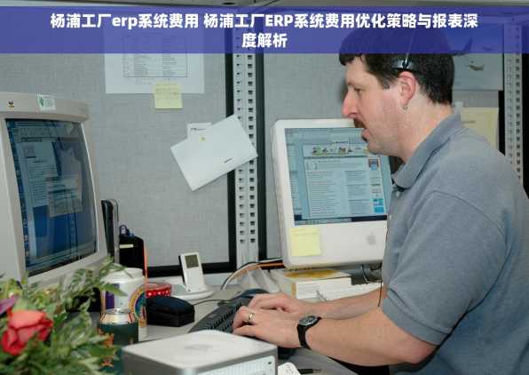 杨浦工厂erp系统费用 杨浦工厂ERP系统费用优化策略与报表深度解析