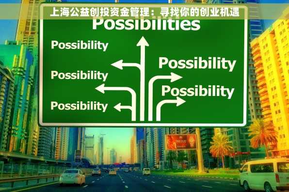 上海公益创投资金管理：寻找你的创业机遇
