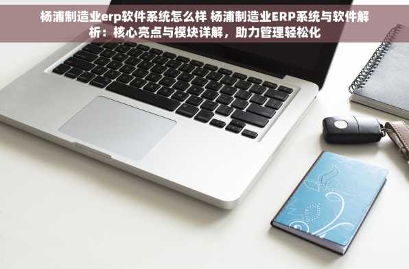 杨浦制造业erp软件系统怎么样 杨浦制造业ERP系统与软件解析：核心亮点与模块详解，助力管理轻松化