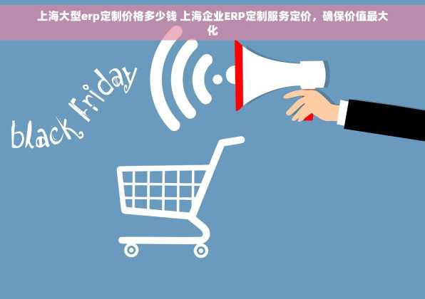 上海大型erp定制价格多少钱 上海企业ERP定制服务定价，确保价值最大化