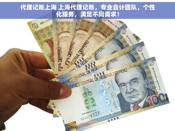 代理记账上海 上海代理记账，专业会计团队，个性化服务，满足不同需求！
