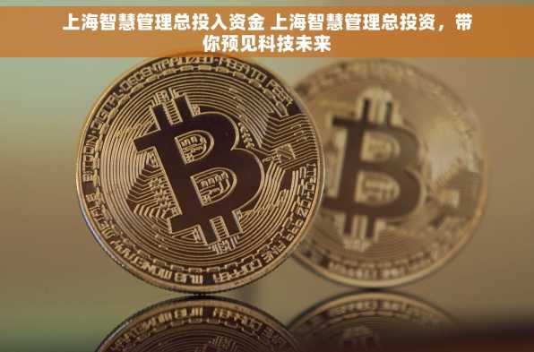上海智慧管理总投入资金 上海智慧管理总投资，带你预见科技未来
