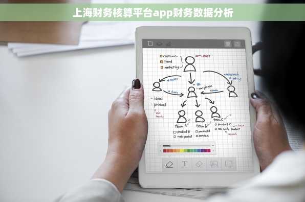 上海财务核算平台app财务数据分析