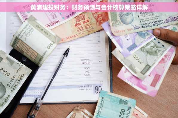 黄浦建投财务：财务预测与会计核算策略详解