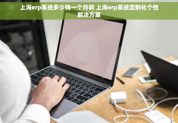 上海erp系统多少钱一个月啊 上海erp系统定制化个性解决方案