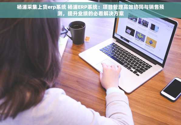 杨浦采集上货erp系统 杨浦ERP系统：项目管理高效协同与销售预测，提升业绩的必看解决方案