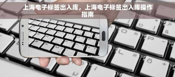 上海电子标签出入库，上海电子标签出入库操作指南