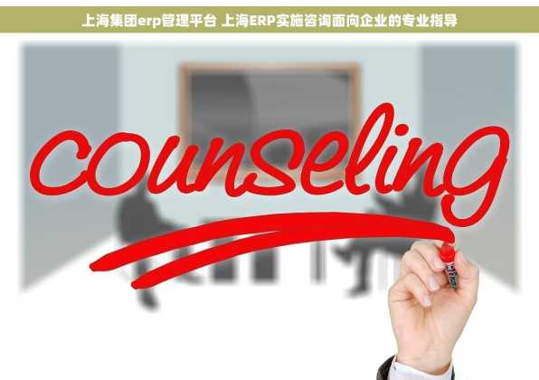 上海集团erp管理平台 上海ERP实施咨询面向企业的专业指导