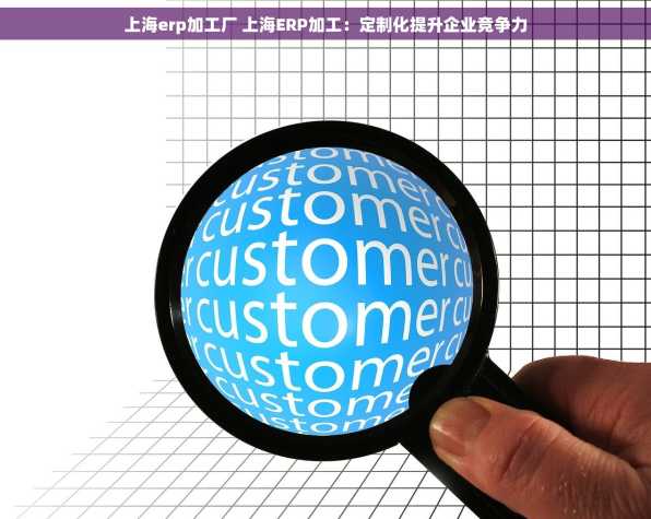 上海erp加工厂 上海ERP加工：定制化提升企业竞争力