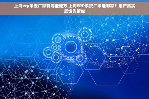 上海erp系统厂家有哪些地方 上海ERP系统厂家选哪家？用户真实反馈告诉你