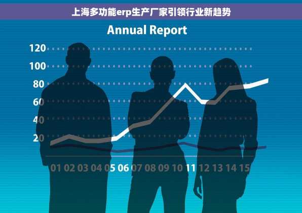 上海多功能erp生产厂家引领行业新趋势
