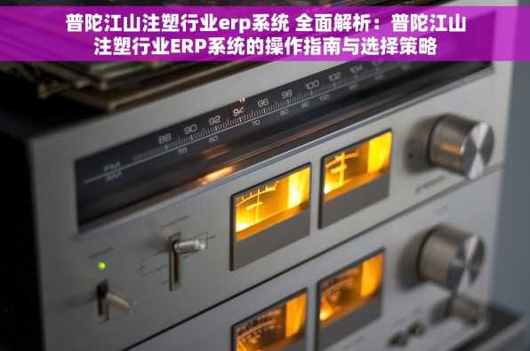 普陀江山注塑行业erp系统 全面解析：普陀江山注塑行业ERP系统的操作指南与选择策略