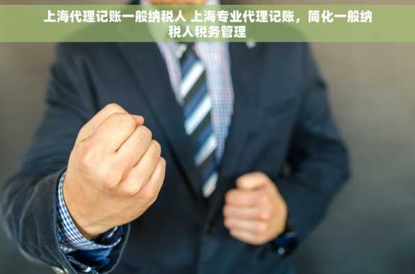 上海代理记账一般纳税人 上海专业代理记账，简化一般纳税人税务管理