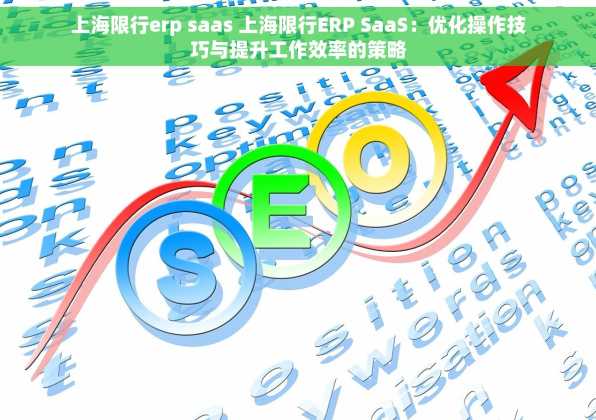 上海限行erp saas 上海限行ERP SaaS：优化操作技巧与提升工作效率的策略