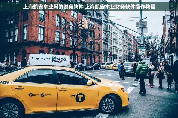 上海凯鑫车业用的财务软件 上海凯鑫车业财务软件操作教程