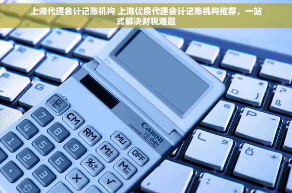 上海代理会计记账机构 上海优质代理会计记账机构推荐，一站式解决财税难题