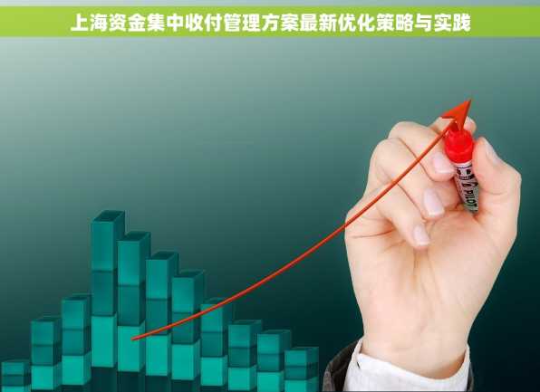 上海资金集中收付管理方案最新优化策略与实践