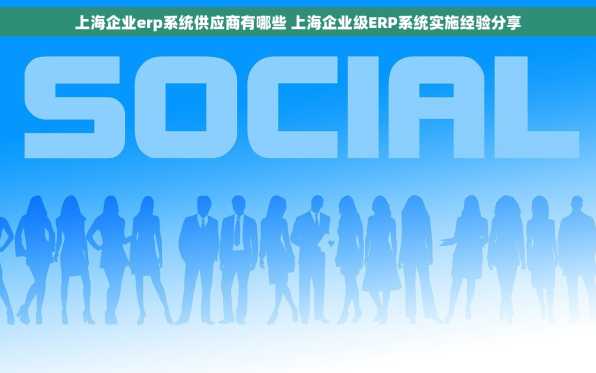 上海企业erp系统供应商有哪些 上海企业级ERP系统实施经验分享