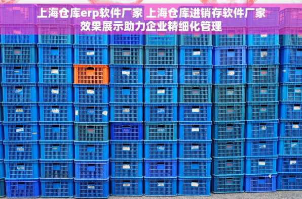 上海仓库erp软件厂家 上海仓库进销存软件厂家效果展示助力企业精细化管理