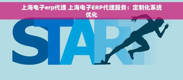 上海电子erp代理 上海电子ERP代理服务：定制化系统优化