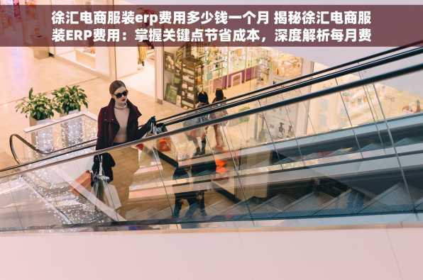 徐汇电商服装erp费用多少钱一个月 揭秘徐汇电商服装ERP费用：掌握关键点节省成本，深度解析每月费用计算及优化策略