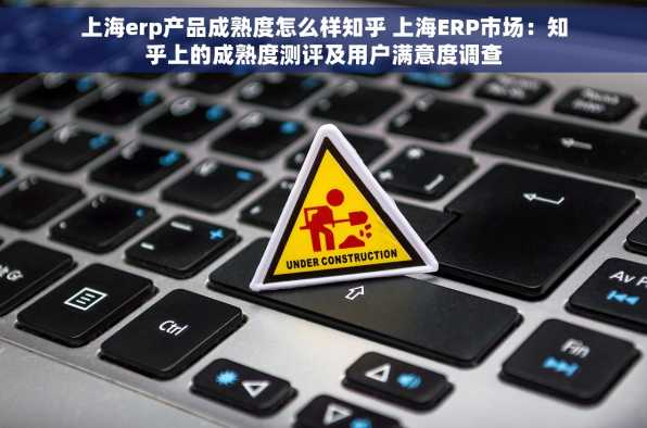 上海erp产品成熟度怎么样知乎 上海ERP市场：知乎上的成熟度测评及用户满意度调查