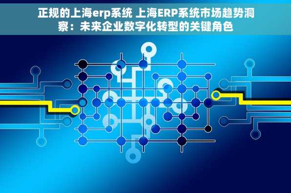 正规的上海erp系统 上海ERP系统市场趋势洞察：未来企业数字化转型的关键角色