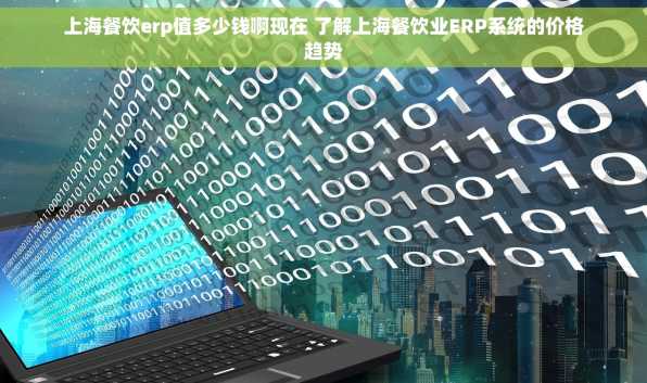 上海餐饮erp值多少钱啊现在 了解上海餐饮业ERP系统的价格趋势