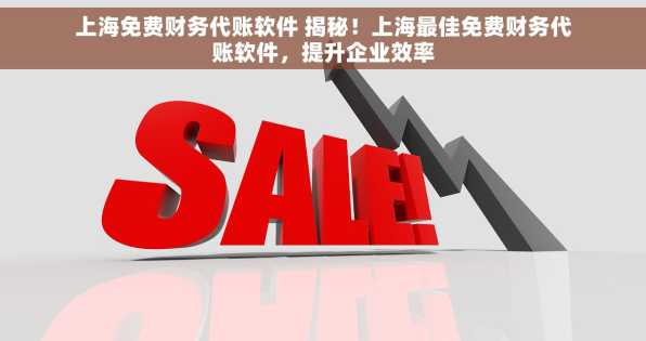 上海免费财务代账软件 揭秘！上海最佳免费财务代账软件，提升企业效率