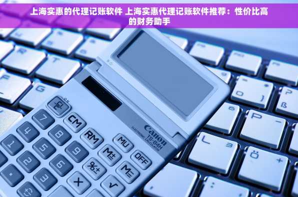 上海实惠的代理记账软件 上海实惠代理记账软件推荐：性价比高的财务助手