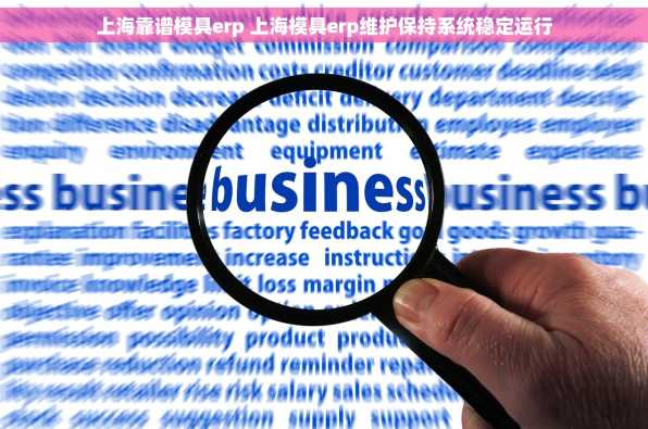 上海靠谱模具erp 上海模具erp维护保持系统稳定运行