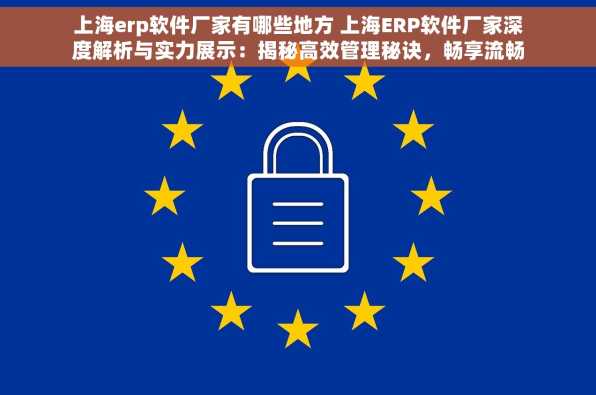 上海erp软件厂家有哪些地方 上海ERP软件厂家深度解析与实力展示：揭秘高效管理秘诀，畅享流畅业务流程