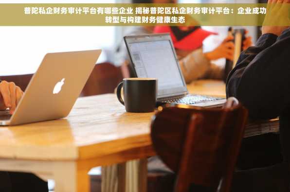 普陀私企财务审计平台有哪些企业 揭秘普陀区私企财务审计平台：企业成功转型与构建财务健康生态