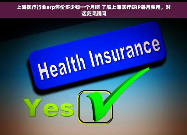 上海医疗行业erp售价多少钱一个月啊 了解上海医疗ERP每月费用，对话资深顾问