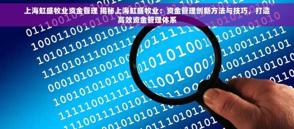 上海虹盛牧业资金管理 揭秘上海虹盛牧业：资金管理创新方法与技巧，打造高效资金管理体系